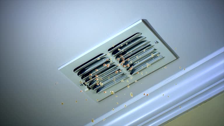 Best Air Vent Cleaning Services  in Rantoul, IL