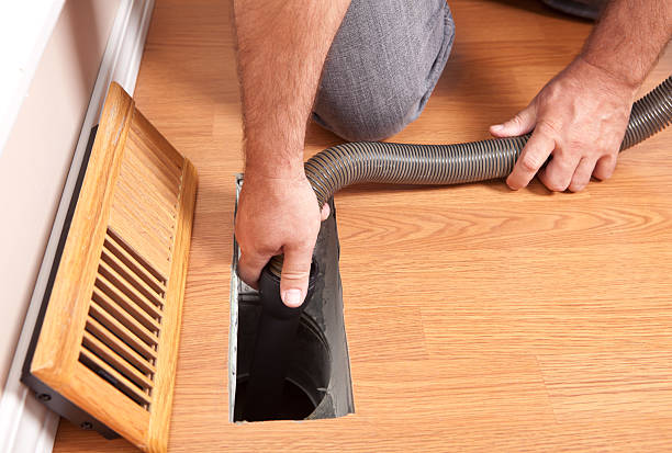 Best Dryer Vent Cleaning Services  in Rantoul, IL