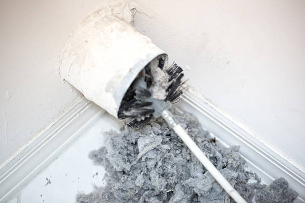 Best Professional Duct Cleaning Services  in Rantoul, IL