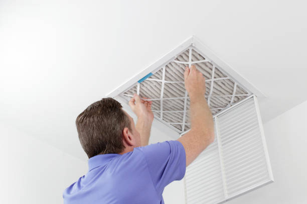 Best Air Duct Cleaning Near Me  in Rantoul, IL